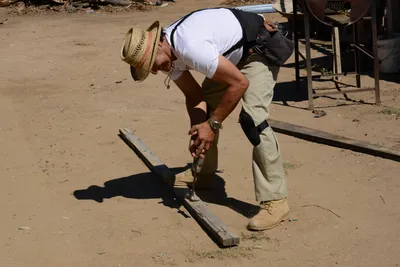 ENSC00151.jpg